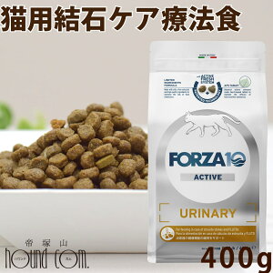 L FORZA10Ö@HbEi[ANeBu(XgoCg΃PA) 400g tHc@fBG` Lbgt[h@tHc@10 APAÖ@H@XgoCg΁@AH@HÖ@H tHc@