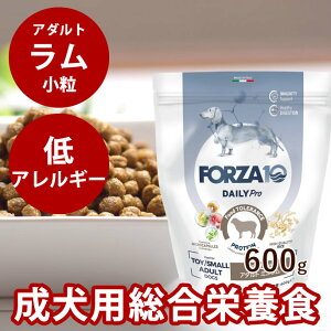 �y�����N�[�|���z�z���z�� FORZA10 �b���p �f�C���[�v���@�A�_���g�����@600g�i�~�j �����jDaily Pro�@�t�H���c�@10 �t�H���c�@�f�B�G�`�@���p�@���Y���@���@�����@�����h�{�H�@�r���@��A����