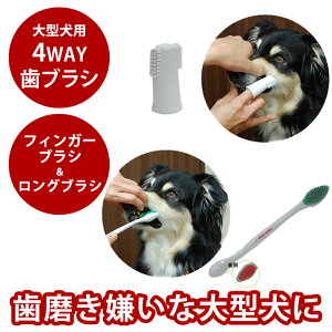 �y�����N�[�|���z�z���z��^���p ���u���V �R���{ �f���^�u���VDX �����������ȑ�^���ɂ������� ��^���f���^���P�A �g���₷�����u���V