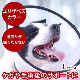 エリザベスカラー(ベットカラー) Lサイズ