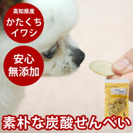 老犬 おやつ 無添加じゃこせんべい 40g 国産 低カロリー魚の骨入りオヤツ 柔らかい 子犬でも安心 ビスケット クッキー 鰯 イワシ 魚 骨 せんべい 低カロリー ヘルシー