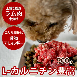 yN[|zzzp   500g r҂ g[yⓀzyhbOt[hzy̐ ybgt[h p  ɂ  rz  VjA ~` Lɂ