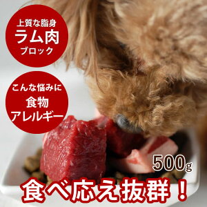 yN[|zzzp   500g ubN r  VjA