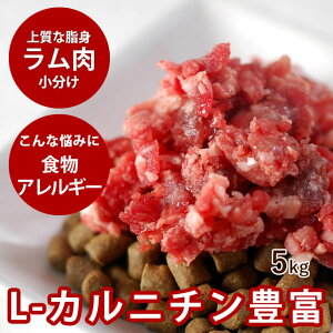 p   5kg+500g r҂ pbNyⓀzyhbOt[hz  ybgt[h p ~` H H yf ^E V  VjA c r ps[  