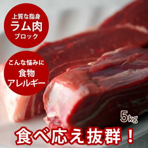 yN[|zzzp   5kg+500g ubNyⓀzyhbOt[hz̐ ybgt[h ybgpi p  ubN ɂ  ybgp  hbO rz 