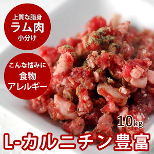 犬用 生肉 ラム肉 10kg+1kg 荒挽き 小分けパック入り【冷凍】【ドッグフード】 犬生肉 ペットフード 犬用生肉 ミンチ 生食 手作り食 酵素 タウリン 老犬 高齢犬 シニア 幼犬 羊肉 パピー 肉 高