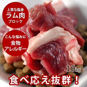 p   10kg+1kg ubNyⓀzyhbOt[hzyyVsX ̐ ybgt[h ybgpi p  ubN ɂ  ybgp  hbO rz  Vj