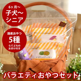 【割引クーポン配布中】犬用ギフトセットA｜無添加おやつのバラエティセット　5種セット　らてぷちのおまけ付き　犬用　おやつ　プレゼント　アソートセット　詰め合わせ　ラッピングバッグ付き
