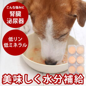 愛犬愛猫用 毎日スープ 尿路 ケア 無添加 国産 水分補給 水分不足解消に 泌尿器ケア ごはん の トッピング 結石 排尿を促す 犬 いぬ トッピング ※ストルバイト結石・シュウ酸カルシウム結石の療法食ではございません。