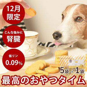 �y�����N�[�|���z�z���z�y12������z�� ����� ���C�����v�e�B�T�u�� �t���P�A 70g 5��+1�܃Z�b�g�y�Ⓚ�ցz���Y ���Y�� ���p�N�b�L�[ ���炩�� ���܂��� �ĕ� �O���e���t���[ �჊�� �t