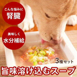 yN[|zzzLp X[v3Zbg {K K  3̖ꂼ6(v18񕪃Zbg) yⓀz  Y ͂ 邾  ⓀhbOt[