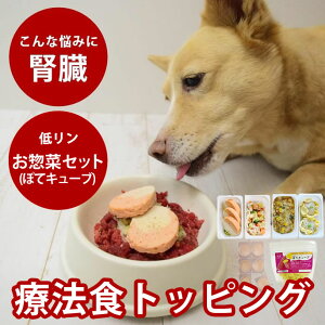 y11OFFN[|P5{zp ჊ŐtɗD肨y؃Zbg (ۂăL[u) yⓀz Y hbOt[h Y tÖ@H HׂȂ gbsO H H W[L[ 