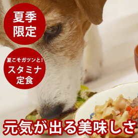 【夏季限定】 手作りごはん 夏も元気に！愛犬スタミナ定食 【冷凍便】 ドッグフード 国産 手作り 無添加 犬用お惣菜 消化に優しい 低リンで腎臓に優しい 水分補給 シニア犬 成犬 子犬 夏に負けない 帝塚山ハウンドカム