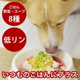 【割引クーポン配布中】愛犬愛猫用 毎日シリーズ 美味しいごはんと野菜とスープの8種セット 冷凍便 無添加 国産 ドッグフード 混ぜるだけ手作りごはん 栄養補給 水分補給 トッピング 食物繊維 療法食 食べない悩み 飲まない悩み 老犬 成犬 子犬