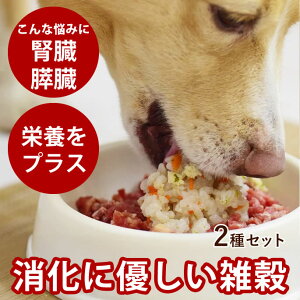 ͂ {ƍ2Zbg (G{݁EG߂) e1 Ⓚ Y hbOt[h Y 育 gbsO py ɗD  h{⋋ H琅 l