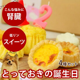 愛犬用　ハッピーバースデー プチスイーツセット 手作りスイーツ3種（計6個）とフレッシュチーズ 【冷凍便】犬用 誕生日 バースデーケーキ 誕生日ケーキ うちの子記念日 チーズスフレ ヤギミルクのエッグタルト レアチーズケーキ