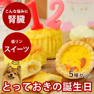 p@nbs[o[Xf[ XC[cՂZbg XC[c4iv9jƃtbV`[YyⓀցz`[YXt M~ÑGbO^g A`[YP[L AbvpC 