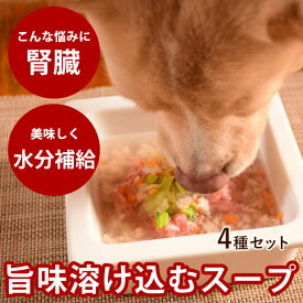 愛犬愛猫用 毎日スープ4種セット 鶏ガラ 鹿ガラ 野菜 本格魚節 4つの味がそれぞれ6回分(合計24回分セット) 【冷凍配送】 【ハウンドカム食堂】 手作り 無添加 ローテーション お得 犬ごはん 猫ごはん お手軽 かけるだけ お試し 水分補給 トッピング 簡単 便利
