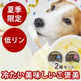 【割引クーポン配布中】犬 アイスクリーム 濃厚 ヨーグルト リッチジェラート2種6個セット 無添加 国産 手作り ペットフード さつまいも 夏バテ 栄養補給 水分補給 ウェットフード 食いつき抜群 老犬 小型犬 大型犬 パピー 帝塚山ハウンドカム
