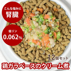 育 {̃N[12Zbg yⓀzY Y hbOt[h pX[v gbsO⋋ Ö@H H ჊ŐtɗD tbVhbOt[h