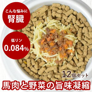 育 nՂ{l[[12Zbg yⓀz ɗD _炩 ᎉb h{⋋ ჊ŐtɗD VjA ps[  ⓀhbOt[h tbVhbOt