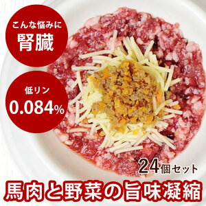 育 nՂ{l[[24Zbg yⓀz ɗD _炩 ᎉb h{⋋ ჊ŐtɗD VjA ps[  ⓀhbOt[h tbVhbOt