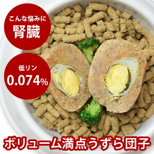 yN[|zzz育 @{˂̂cq yⓀz hbOt[h Y gbsO EFbgt[h Ö@H tɔz ჊ ⋋ q  V Ⓚhb