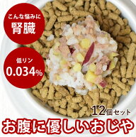 手作りご飯 鶏肉のガラスープおじや12個セット 【冷凍】 水分補給 栄養補給 消化に優しい 低脂肪 腎臓に…