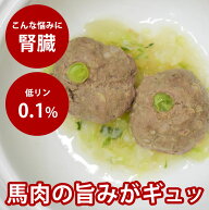 愛犬用 手作りご飯 馬肉のシュウマイ 【冷凍】無添加 国産 ドッグフード 食物アレルギー 低リンで腎臓に…