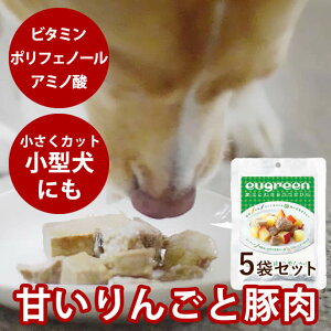 SƓؓ_炩ρ@5܃Zbg@ggHi ߂Ă@X[vՂ@r^~@gbsO@Y@pbN@܂Ƃߔ@eugreen@[O[