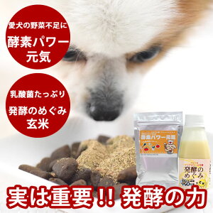 Lp ɗD@y2_Zbgiy؁@yfp[C_ۊÎ@ājtɗD@ł؁@yf@mAR[Î@