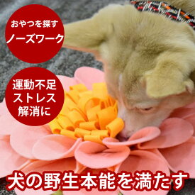 犬用おもちゃ　ノーズワークマット