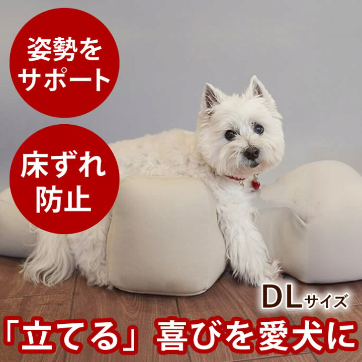 楽天市場】【愛犬用ベッド】 リラクッション DL ブラウン【立位保定 