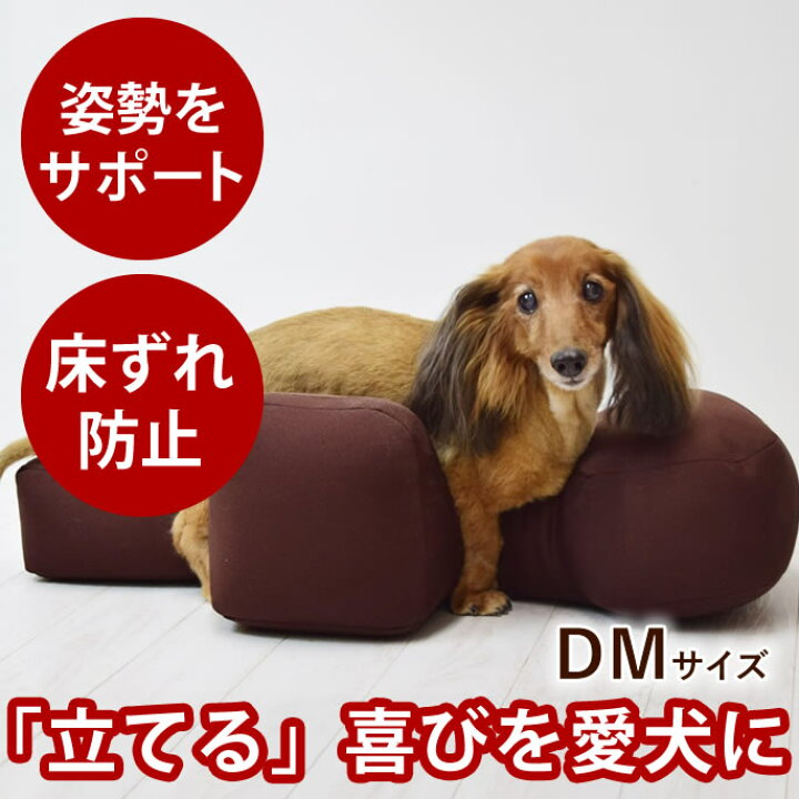 楽天市場】【割引クーポン配布中】【愛犬用ベッド】 リラクッション DM 