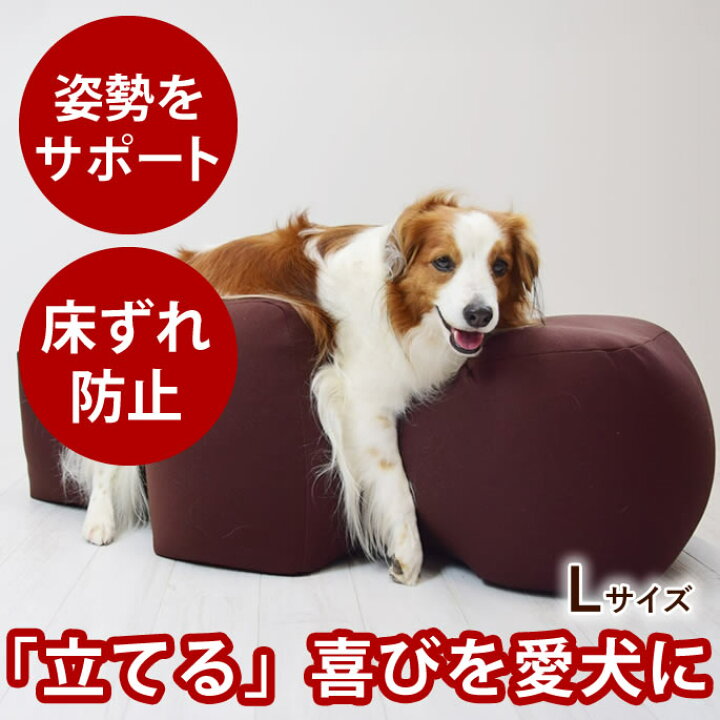 楽天市場】【割引クーポン配布中】【愛犬用ベッド】 リラクッション L 