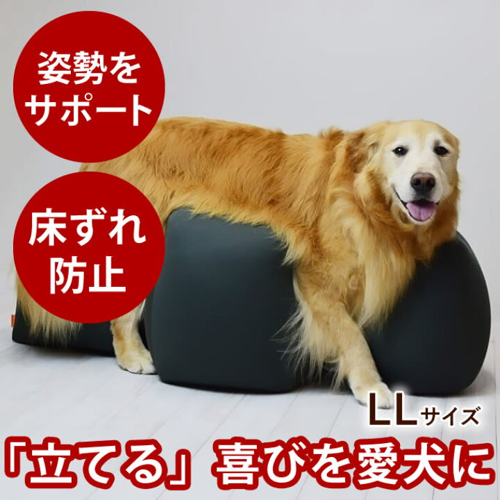 楽天市場】【割引クーポン配布中】【愛犬用ベッド】 リラクッション LL 