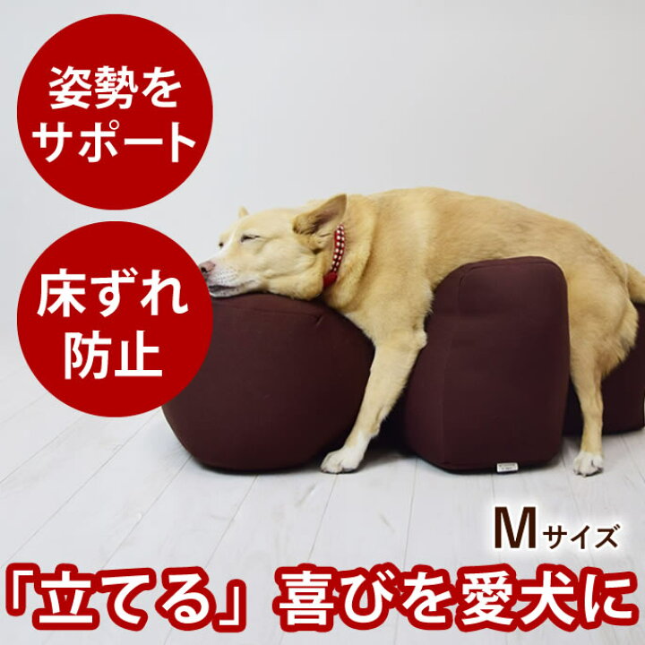 楽天市場】【割引クーポン配布中】【愛犬用ベッド】 リラクッション M 