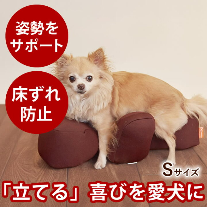 楽天市場】【割引クーポン配布中】【愛犬用ベッド】 リラクッション S 