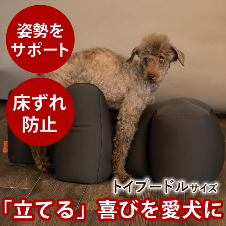 楽天市場】【愛犬用ベッド】 リラクッション トイプードルサイズ 