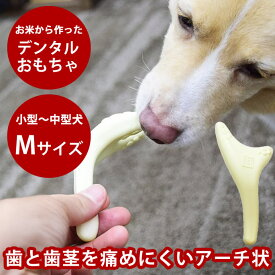 愛犬用 デンタルおもちゃ お米から作ったデンタルチュー Mサイズ 犬 おもちゃ 噛むおもちゃ デンタル デンタルおもちゃ 玩具 無塗装 無香料