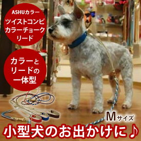 愛犬 首輪 ASHU ツイストコンビカラーチョークリード Mサイズ