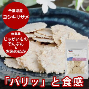 yP2{N[|zzzp | i`n[xXg b߃p 20g