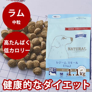 i`n[xXg W[ X[ @1[1.1kg]@NEWpbP[W@ᎉb@J[@_CGbg