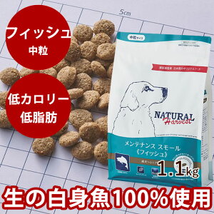 yN[|zzzi`n[xXg eiXX[@tBbV@1.1kg1܁@NEWpbP[W  hbOt[h hCt[h ᎉb J[ p VjA 