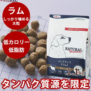 yN[|zzzi`n[xXg@eiX@@1.1kg1܁@嗱^Cv@NEWpbP[W @YhbOt[h@hCt[h@@VjA@p@ᎉb@J