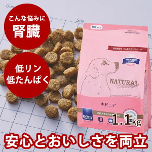 yN[|zzzi`n[xXg LhjA@1[1.1kg]@NEWpbP[W ^pNA჊ŐtɔzꂽHÖ@HphbOt[hhCt[higE