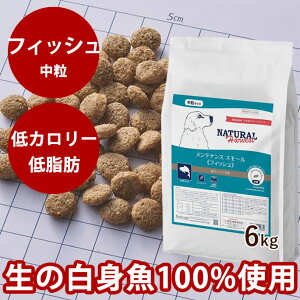 yN[|zzzy܂tzi`n[xXg eiXX[@tBbV@ 6kg @NEWpbP[W  hbOt[h hCt[h ᎉb J[ p VjA 