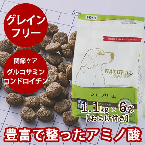 yN[|zzzy܂tzi`n[xXg@V[v[@OCt[@1.1kg×6܃Zbg@NEWpbP[W @YhbOt[h@hCt[h@@VjA