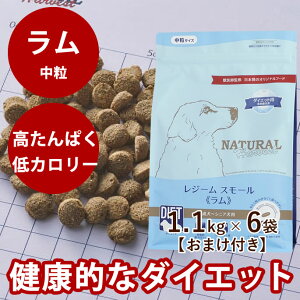 i`n[xXg W[ X[ @1.1kg×6܁@NEWpbP[W@ᎉb@J[@_CGbg @YhbOt[h@hCt[h@@VjA@p