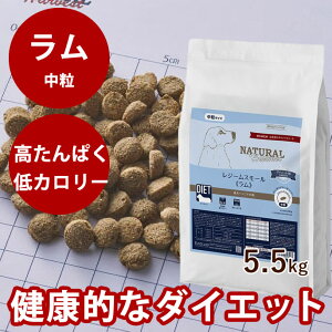 i`n[xXg W[ X[  5.5kg ܁@NEWpbP[W@ᎉb@J[@_CGbg